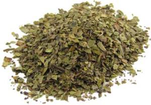 Buy Uva Ursi Capsules & Loose Tea @ Herbosophy